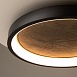 Потолочный светильник Maytoni Orign MOD311CL-L40B3K - фото