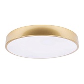 10228/A Потолочный светильник LOFT IT Flims