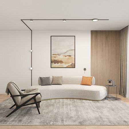 Светильник на шине Denkirs SHINE FLOW DK5763-DN - фото