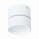 Светильник потолочный поворотный Белый LED 1*9W 3000K 720Lm Ra>90 120° IP20 D85xH87 170 ST651.532.09 - фото