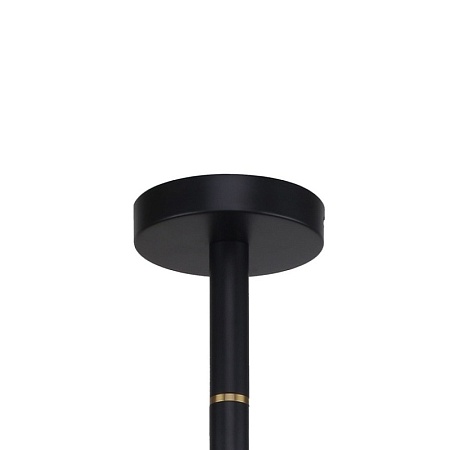 Потолочная люстра Favourite 2766-8P - фото