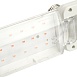 Лампа светодиодная 2-х лепестковая Feron LB-7000 E27 20W 175-265V красно-синий спектр - фото