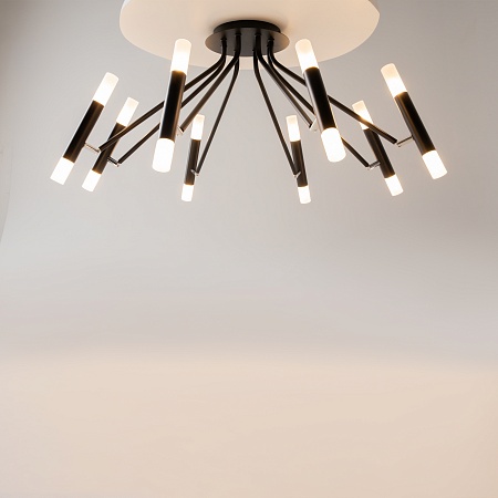 Потолочный светильник Maytoni Vigo MOD620CL-16B - фото