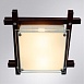 Потолочный светильник Arte Lamp ARCHIMEDE A6462PL-2CKB - фото