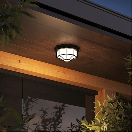 Уличный потолочный светильник Arte Lamp PEGASUS A3100PL-1BK - фото