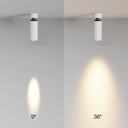 Потолочный светильник Technical C055CL-L12W2.7K-SS-W - фото