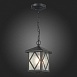 Светильник уличный подвесной ST-Luce Черный/Черный, Прозрачный E27 1*60W SL084.403.01 - фото