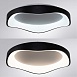 Потолочный светильник Arte Lamp ANKAA A3085PL-56BK - фото