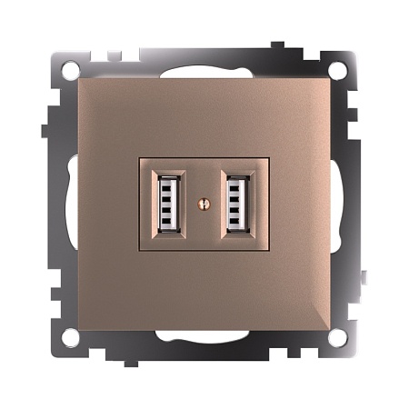 Розетка USB 2-местная (механизм), STEKKER GLS10-7115-02, 250B, 2,1A, серия Катрин, шампань - фото