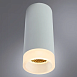 Точечный накладной светильник Arte Lamp OGMA A5556PL-1WH - фото