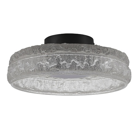 Светильник потолочный ST-Luce черный/прозрачный LED 1*15W 4000K SL6143.402.01 - фото