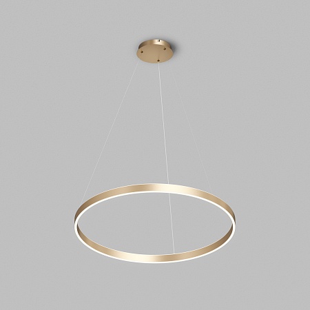 Потолочный подвесной светильник Denkirs DK6272-SG - фото