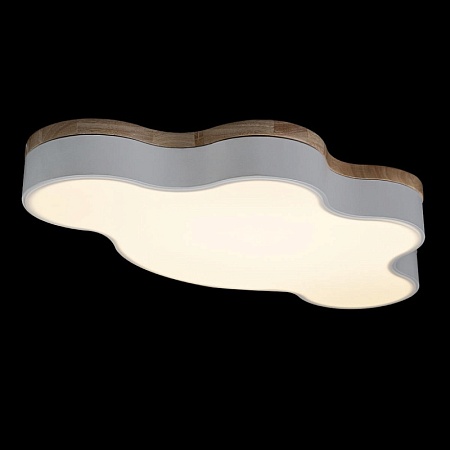 10005/36 White Потолочный светильник LOFT IT Axel - фото