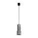 Подвесной светильник Freya FR5599PL-01SM - фото