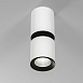 Светильник потолочный светодиодный 12W 4000К белый/чёрный 25048/LED Elektrostandard - фото