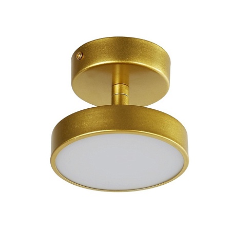 Потолочный светильник F-Promo 3059-1P - фото