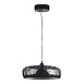 Светильник подвесной ST-Luce Черный/Черный, Дымчатый LED 1*42W 3000K SL6014.403.01 - фото