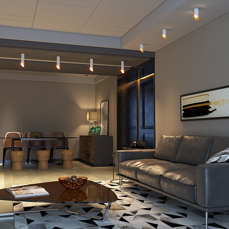 Накладной потолочный светильник DLN114 GU10 Elektrostandard - фото