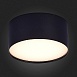 Светильник потолочный Черный LED 1*12W 3000K 1 080Lm Ra>85 120° IP20 D120xH55 185-265V ST606.432.12 - фото