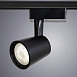 Трековый светильник Arte Lamp ATILLO A2315PL-1BK - фото