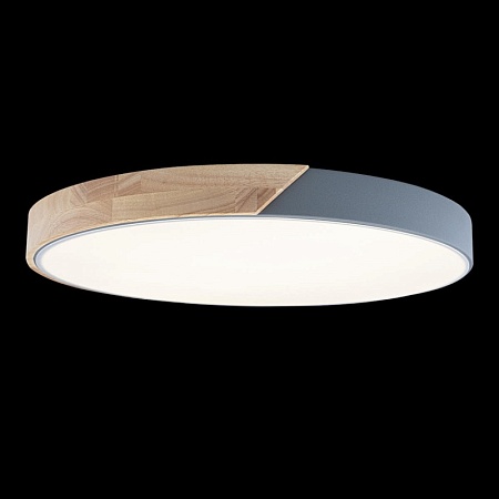 10004/36 Grey Потолочный светильник LOFT IT Axel - фото