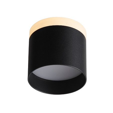 Светильник потолочный Черный LED 1*12W 3000K 936Lm Ra>80 120° IP20 D100xH90 170-240V ST102.402.12 - фото