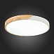 Светильник потолочный Белый, Светлое дерево/Белый LED 1*45W 3000K/4000K/6000K SLE200952-01 - фото