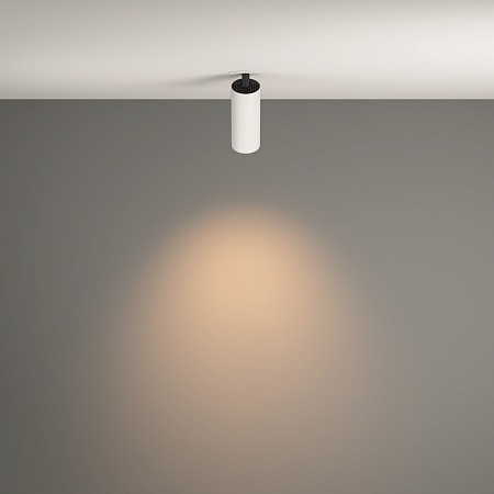 Потолочный светильник Technical FOCUS LED C053CL-L12W3K-W-W - фото