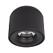 10219 Black 3000K Потолочный светильник LOFT IT Tictac - фото