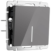 Выключатель одноклавишный проходной с подсветкой (графит акрил) W1112144