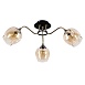 Потолочная люстра Arte Lamp MONICA A3831PL-3AB - фото