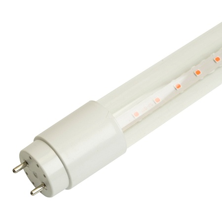 Лампа светодиодная для растений T8 Feron LB-7063 G13 стекло 0,6м 11W 175-265V красно-синий спектр - фото