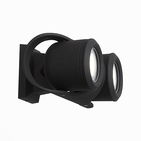 Светильник уличный настенный ST-Luce Черный/Черный, Прозрачный G5,3 2*3W SL093.401.02 - фото