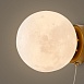 Настенный светильник (бра) Freya FR5457WL-01G - фото