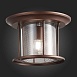 Светильник уличный потолочный ST-Luce Темный кофе/Прозрачный, Темный кофе E27 1*60W SL080.402.01 - фото