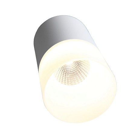 Светильник потолочный Белый LED 1*5W 3000K 390Lm Ra>80 120° D64xH110 170-240V ST100.502.05 - фото