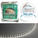 SST02 SAFFIT 120SMD(2835)/м 9.6Вт/м 12V 5000*8*1.22мм 4000К, IP20 - фото