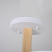 Потолочный Светильник Turna L10 White Imperiumloft 228850-26 - фото