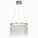 Люстра подвесная ST-Luce Серебристый/Прозрачный LED 1*24W 3000K/4000K/6000K SL6201.103.24 - фото
