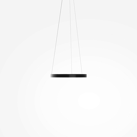 Подвесной светильник Maytoni Rim MOD058PL-L22BK - фото