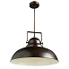 Подвесной светильник Arte Lamp MARTIN A5213SP-1BR - фото