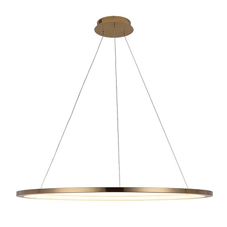 10014XL Подвесной светильник LOFT IT Ring - фото