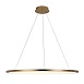 10014XL Подвесной светильник LOFT IT Ring - фото