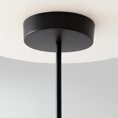 Подвесной светильник Maytoni MOD428PL-L20BK - фото