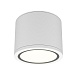 Потолочный светильник Technical Rendo C095CL-GX53-W - фото