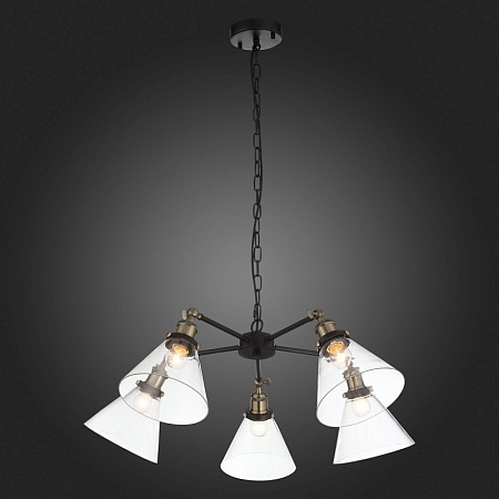 Люстра подвесная ST-Luce Черный, Матовое золото/Прозрачный E27 5*60W SL237.413.05 - фото