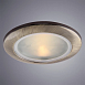 Точечный встраиваемый светильник ARTE LAMP A2024PL-1AB - фото