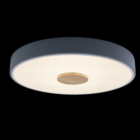 10003/24 Grey Потолочный светильник LOFT IT Axel - фото