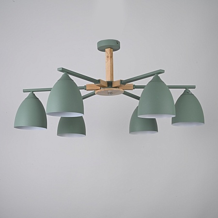 Потолочная Люстра Noa 6 Mint Imperiumloft Imperiumloft 183467-26 - фото