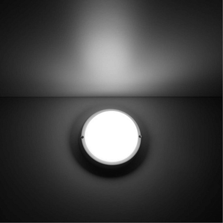 Светильник GAUSS 126411208_GAUSS - фото